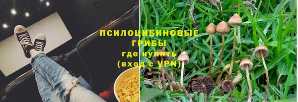 герыч Алексеевка