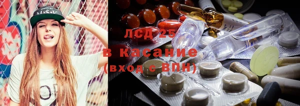 a pvp Алзамай